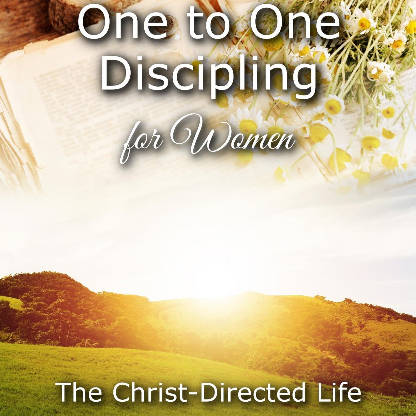 One-to-One Discipling For Women